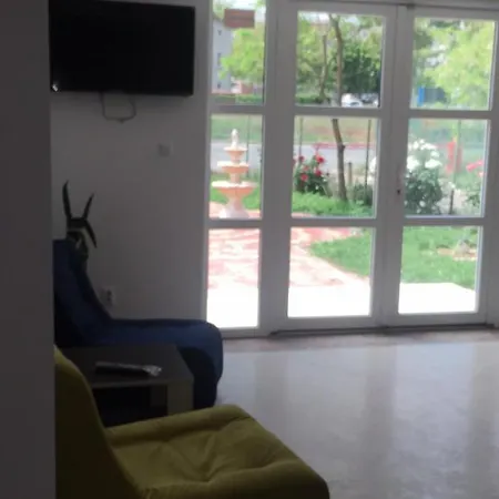 Ioana - De Inchiriat