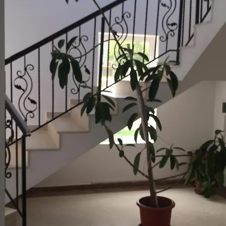 Ioana - De Inchiriat Mangalia