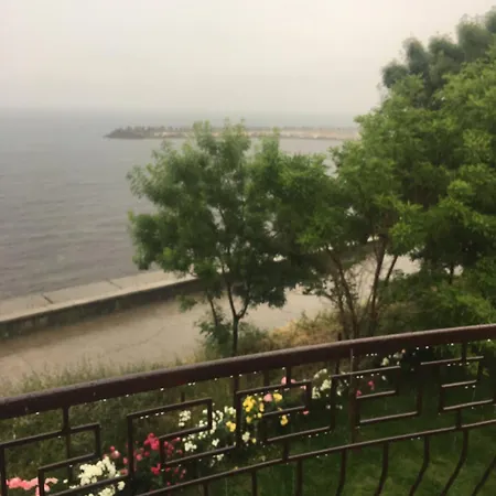 Ioana - De Inchiriat 3*